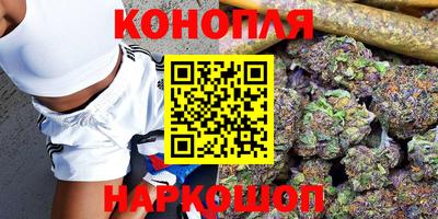 гидра Гусев